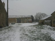 IMG_1503 IMG_1503