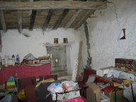 IMG_1590 IMG_1590
