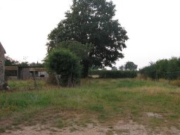IMG_2145