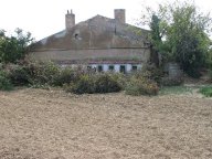 IMG_2405 IMG_2405