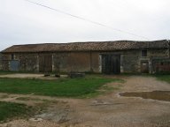 IMG_2428 IMG_2428