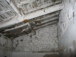IMG_2711