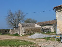 IMG_2798