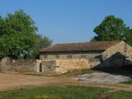 IMG_3008 IMG_3008