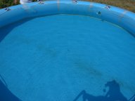 IMG_3146 IMG_3146