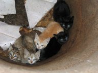 IMG_3166 IMG_3166
