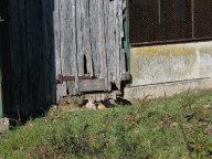 IMG_3787 IMG_3787