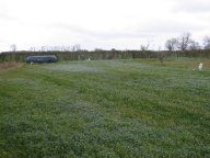 IMG_3936 IMG_3936
