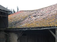IMG_3940 IMG_3940