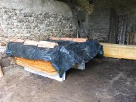 IMG_4380