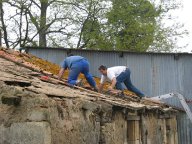 IMG_4465 IMG_4465