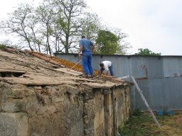 IMG_4469 IMG_4469