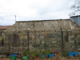IMG_4475 IMG_4475