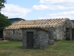 IMG_4610