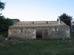 IMG_4620