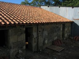 IMG_4822