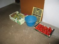 IMG_4907 IMG_4907