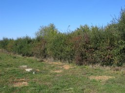IMG_4914