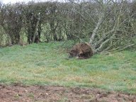 IMG_5046 IMG_5046