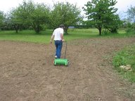 IMG_5390 IMG_5390
