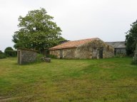 IMG_5416 IMG_5416