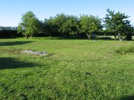 IMG_5437 IMG_5437