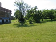 IMG_5458 IMG_5458