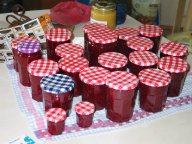 IMG_5539 IMG_5539