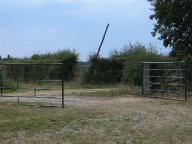 IMG_5780