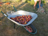 IMG_5948 IMG_5948