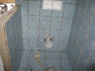IMG_5968 IMG_5968