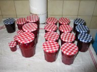 img_6796 img_6796