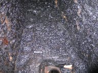 img_6838 img_6838